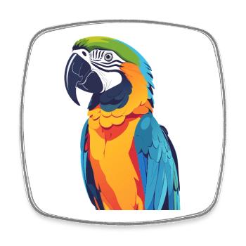 Regenbogenara bunte Vogelkunst Papagei Motiv - Viereckiger Kühlschrankmagnet - Weiß - Vorne