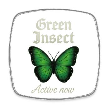 Green Insect Butterfly Fans geschenkidee  - Viereckiger Kühlschrankmagnet - Weiß - Vorne