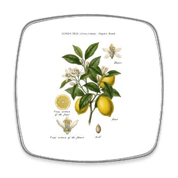 Lemon Tree Vintage Botanischer Ast - Viereckiger Kühlschrankmagnet - Weiß - Vorne