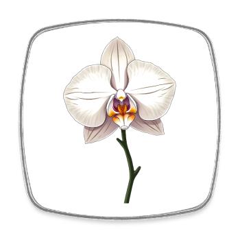 White orchid - Square fridge magnet - white - Front