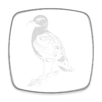 Seagull Silhouette in Vintage Ink - Square fridge magnet - white - Front