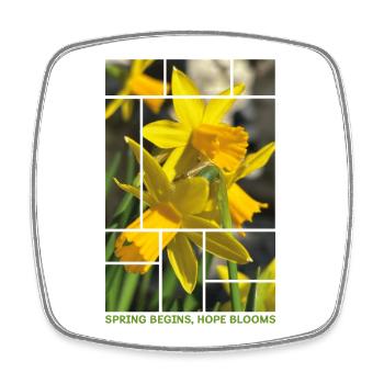 Spring Begins, Hope Blooms – Daffodil Spring Desig - Square fridge magnet - white - Front