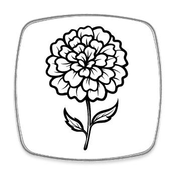 Fleur de souci - Magnet carré - blanc - Devant