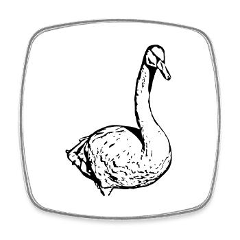 Cygne Canard noir Oiseau Oie - Magnet carré - blanc - Devant