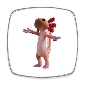 Axolotl - Square fridge magnet - white - Front