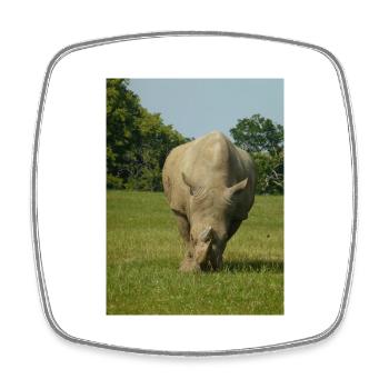 Rhino - Square fridge magnet - white - Front