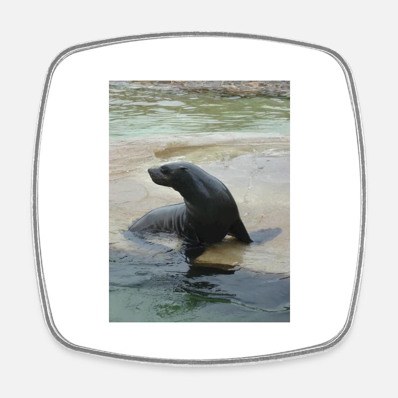Sea Lion in a pool - Square fridge magnet - white