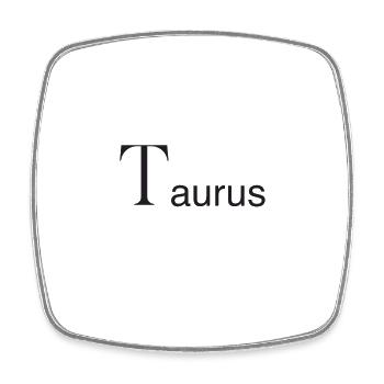 SZ Taurus - Viereckiger Kühlschrankmagnet - Weiß - Vorne
