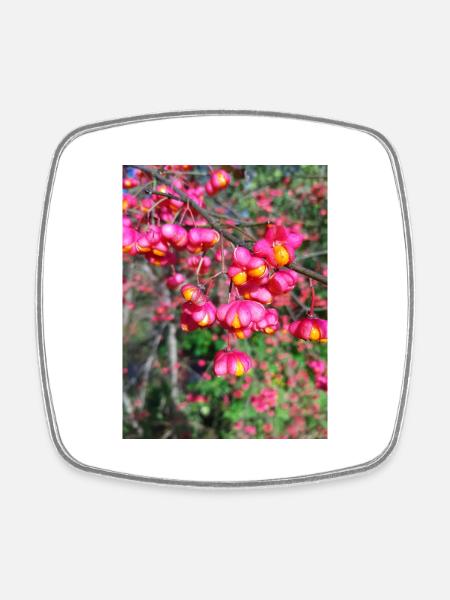 Spindle tree - Square fridge magnet - white