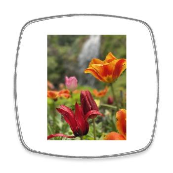 Tulpen bunt - Viereckiger Kühlschrankmagnet - Weiß - Vorne