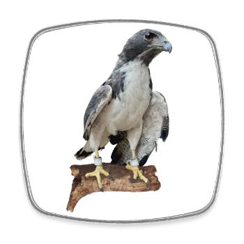 Faucon - Magnet carré - blanc - Devant