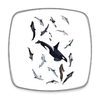Dolphins and orca - Dolphins all around - Dauphins - Square fridge magnet - white - Front