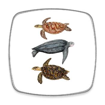 Tortues marines: tortue verte, tortue imbriquée et tortue luth - Magnet carré - blanc - Devant