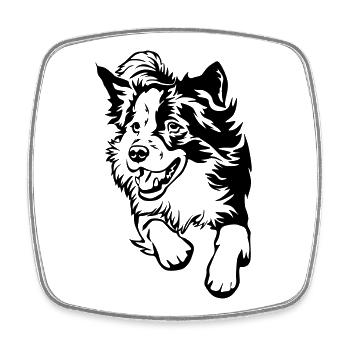 Border Collie - Magnet carré - blanc - Devant