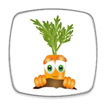 funny ripe carrot in vegetable beds - Square fridge magnet - white - Front