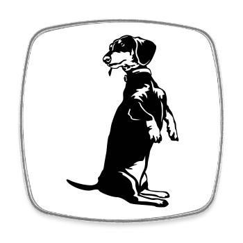 Dachshund - Square fridge magnet - white - Front