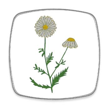 camomile - Square fridge magnet - white - Front