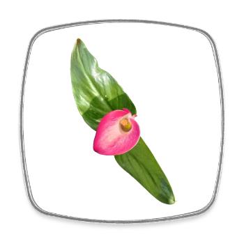 Pink Calla Blossom - Square fridge magnet - white - Front