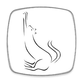 Dessin au trait de chat - Magnet carré - blanc - Devant