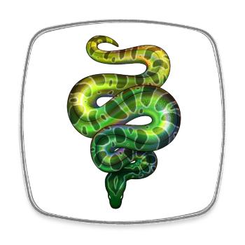 Neon Snake Green - Square fridge magnet - white - Front