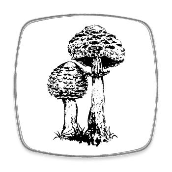 AKKUMULATOR PILZ - Viereckiger Kühlschrankmagnet - Weiß - Vorne