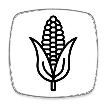 corn on the cob - Square fridge magnet - white - Front