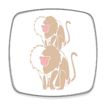 Monkey - Square fridge magnet - white - Front