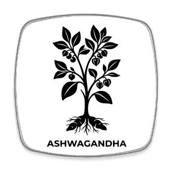 Silhouette de la plante ashwagandha - Magnet carré - blanc - Devant