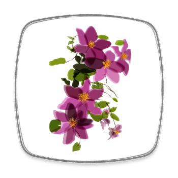 Clématites violettes – Illustration florale - Magnet carré - blanc - Devant