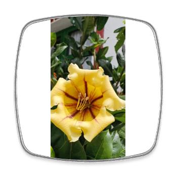 Beautiful yellow flower - Square fridge magnet - white - Front