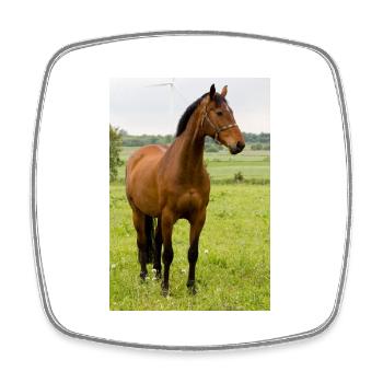 Cheval. Cheval. - Magnet carré - blanc - Devant