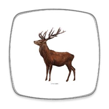 Cerf - Magnet carré - blanc - Devant