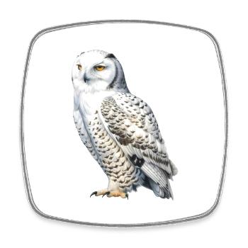 SnowyOwl 02 - Viereckiger Kühlschrankmagnet - Weiß - Vorne