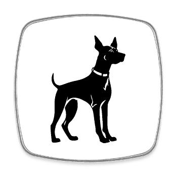Doberman Dog - Square fridge magnet - white - Front