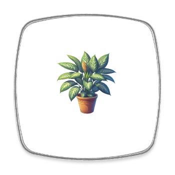 Dieffenbachia-Pflanze im Topf - Viereckiger Kühlschrankmagnet - Weiß - Vorne