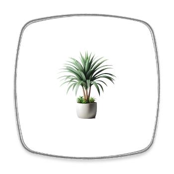 Dracaena-Pflanze im Topf - Viereckiger Kühlschrankmagnet - Weiß - Vorne
