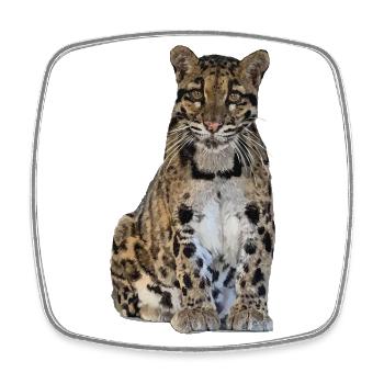 Clouded leopard - Square fridge magnet - white - Front