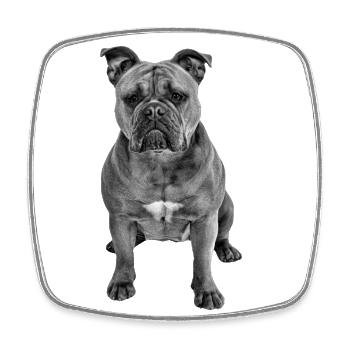 Bulldog Old English Bulldog Dog Dogs - Square fridge magnet - white - Front