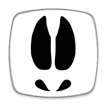 Moose tracks - Square fridge magnet - white - Front