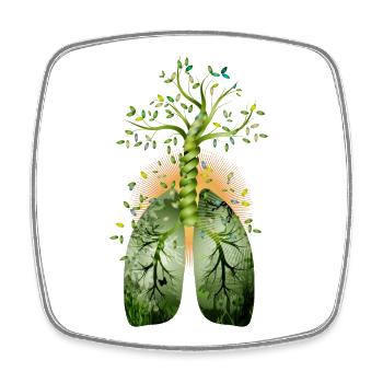 La forêt, le poumon vert. Arbre avec poumon - Magnet carré - blanc - Devant