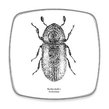 Borkenkäfer | Scolytinae Poster - Viereckiger Kühlschrankmagnet - Weiß - Vorne
