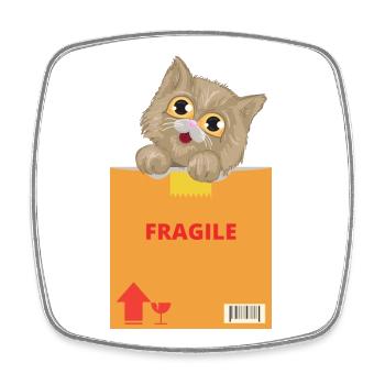 Curious Kitten on Fragile Package - Square fridge magnet - white - Front