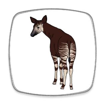 Okapi - Viereckiger Kühlschrankmagnet - Weiß - Vorne