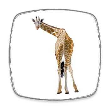 Giraffe greets from the savannah - Square fridge magnet - white - Front