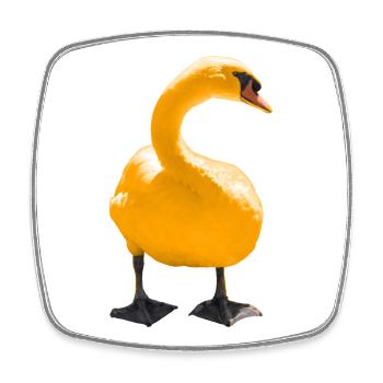 Elegant Swan Art Print - Square fridge magnet - white - Front