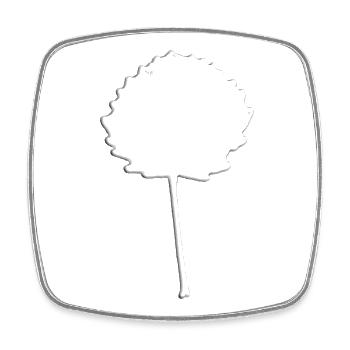 Blatt Baum - Viereckiger Kühlschrankmagnet - Weiß - Vorne
