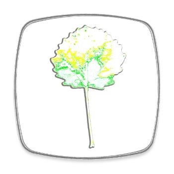 Vert arbre - Feuille ronde - Nature - Magnet carré - blanc - Devant
