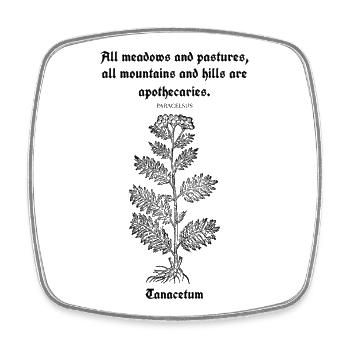 Lateinisches Zitat von Paracelsus – Tansy Illustration - Viereckiger Kühlschrankmagnet - Weiß - Vorne
