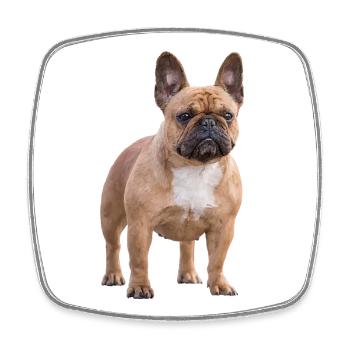 French Bulldog - Square fridge magnet - white - Front