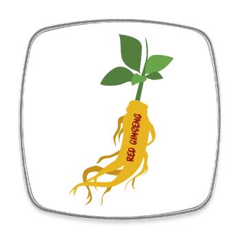 Ginseng rouge coréen – Power Root - Magnet carré - blanc - Devant